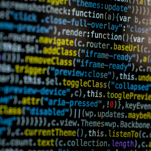 System Development Services